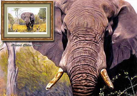 botswana-elephant-blog.jpg