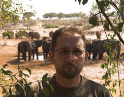 elephant - safari - jason morgan