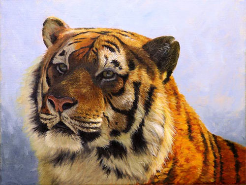 tiger-details