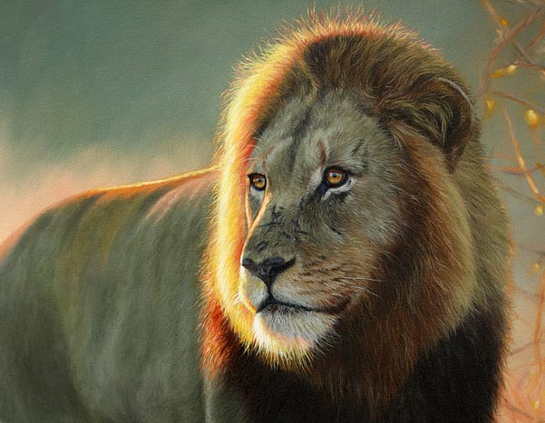 lion-final-detail