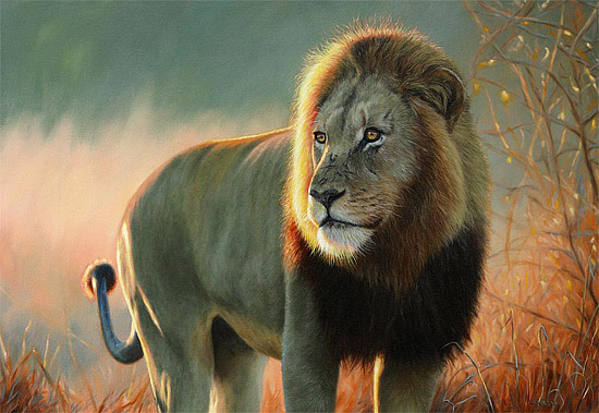 lion-final-medium
