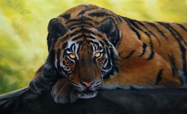 tiger oil paintings