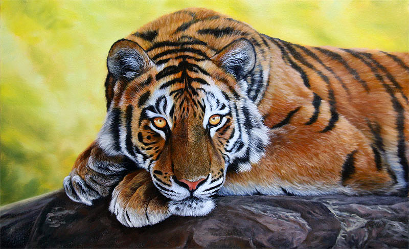 Αποτέλεσμα εικόνας για tiger painting