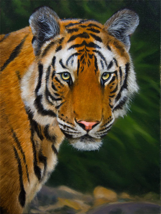 Tiger Portrait 2 – Completing the underpainting | How to Draw and Paint Animals - Wildlife Art Videos, Pastel pencil and oil painting Lessons