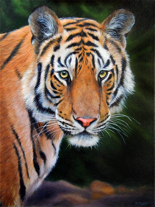Tiger Portrait – oil painting on canvas | How to Draw and Paint Animals - Wildlife Art Videos, Pastel pencil and oil painting Lessons