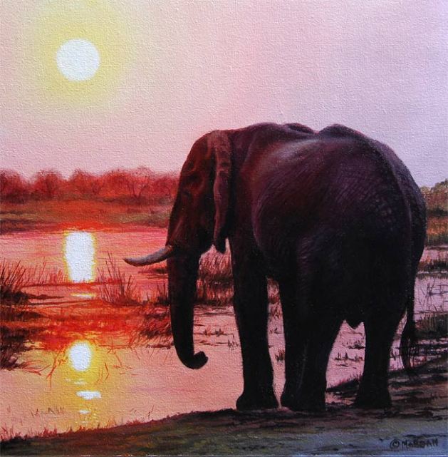 elephant sunset painting ebay