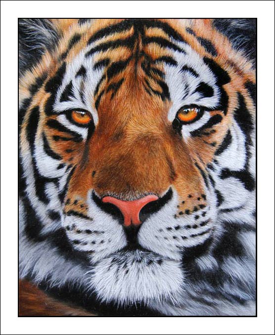 tiger painting on ebay