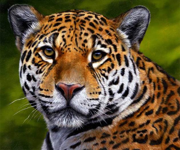 jaguar painting for sale on ebay