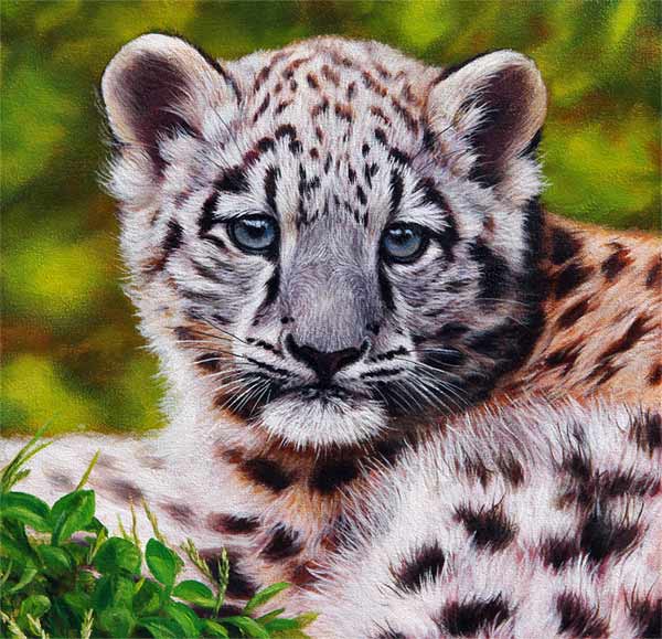 snow leopard cub painting for sale