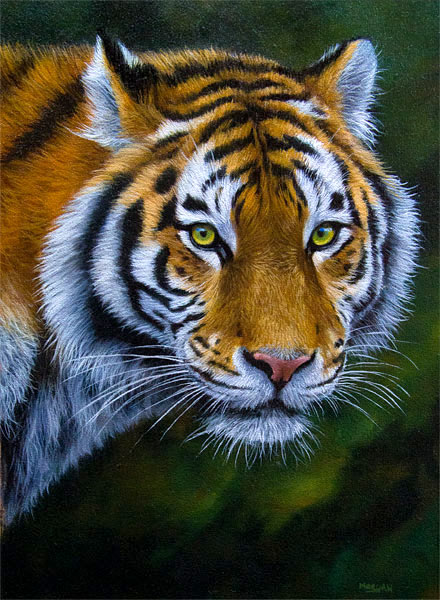 tiger-oil-painting-canvas
