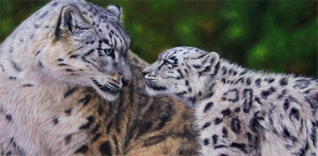 snow leopard and cub painting