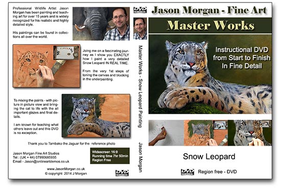 wildlife art dvd